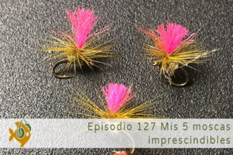 Episodio 127 Mis 5 moscas imprescindibles