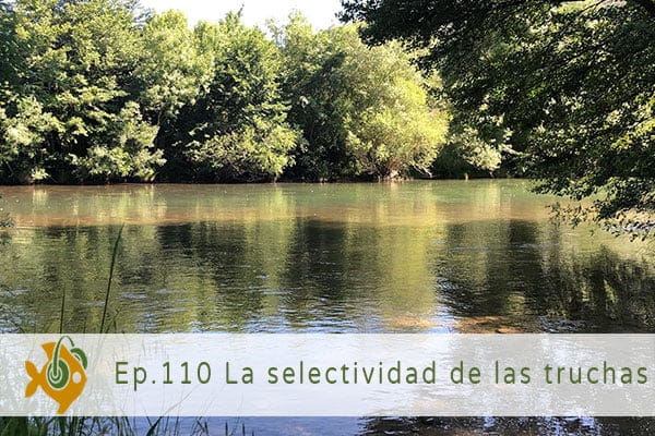 Episodio 110 Hablemos de la selectividad de las truchas