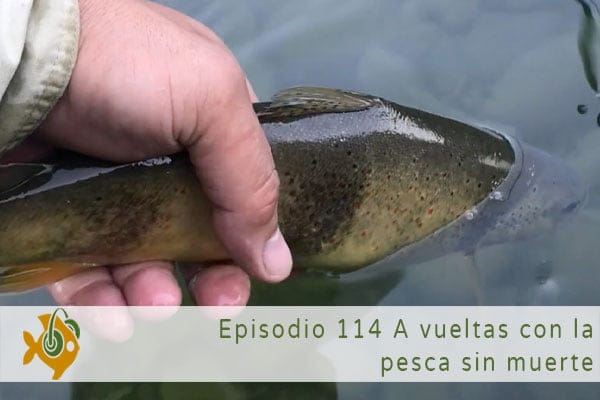 Episodio 114 A vueltas con la pesca sin muerte