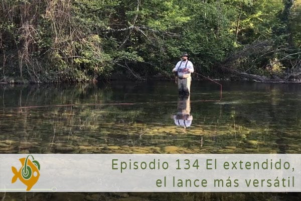 Episodio 134 El extendido
