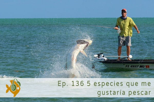 Episodio 136 5 especies que me gustaría pescar