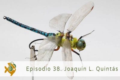 Episodio 38 Joaquín Quintás