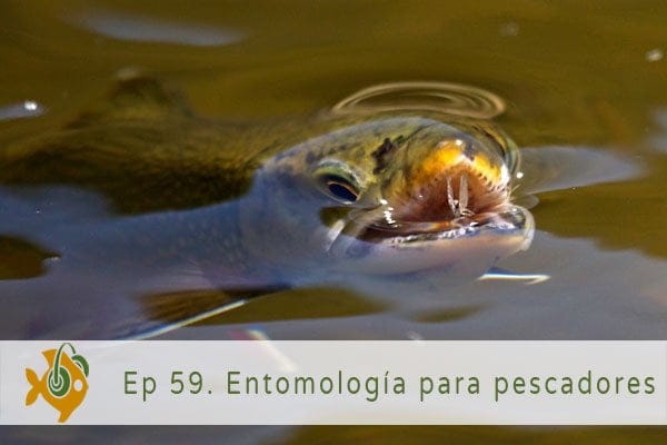 Episodio 59 Entomología para pescadores