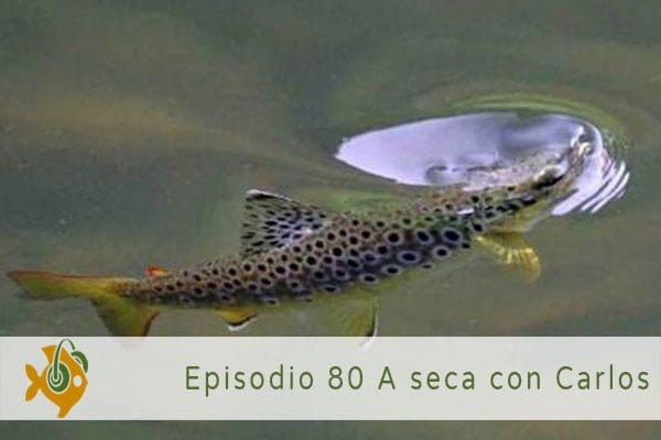 Episodio 80 A seca con Carlos