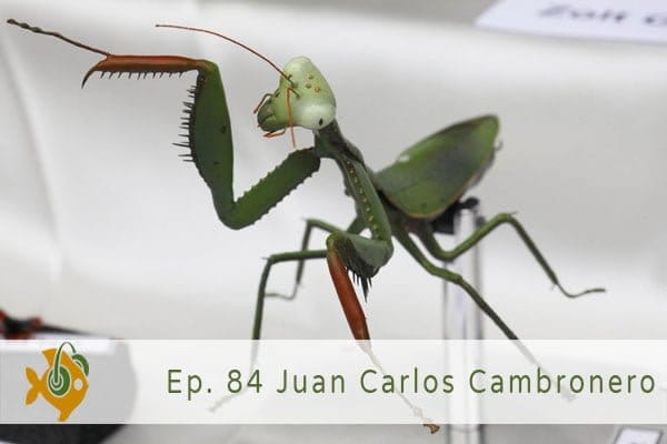 Episodio 84 Juan Carlos Cambronero