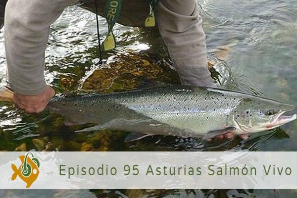 Episodio 95 Asturias Salmón Vivo
