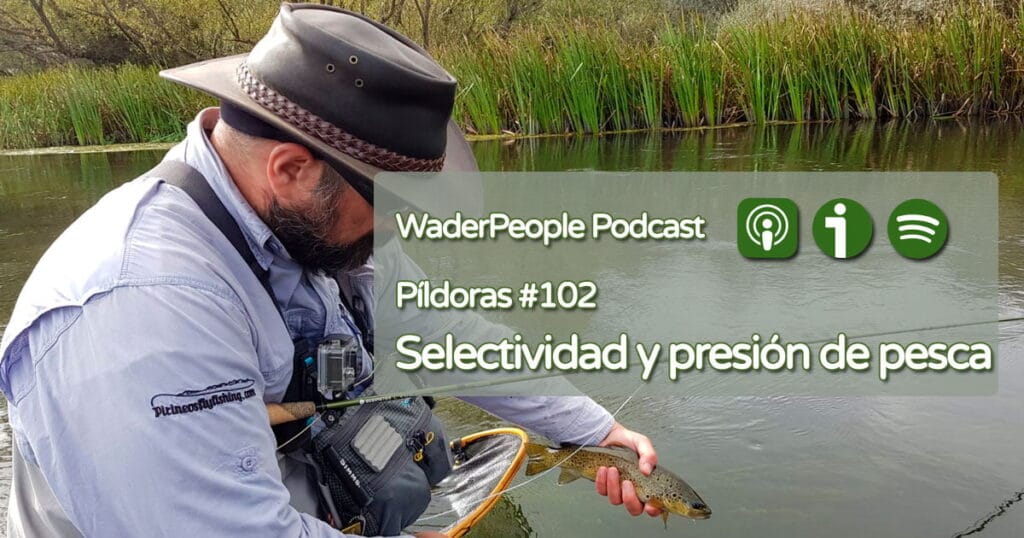 Pildoras #102 Selectividad y presión de pesca