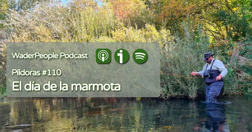 Pildoras #110 El día de la marmota