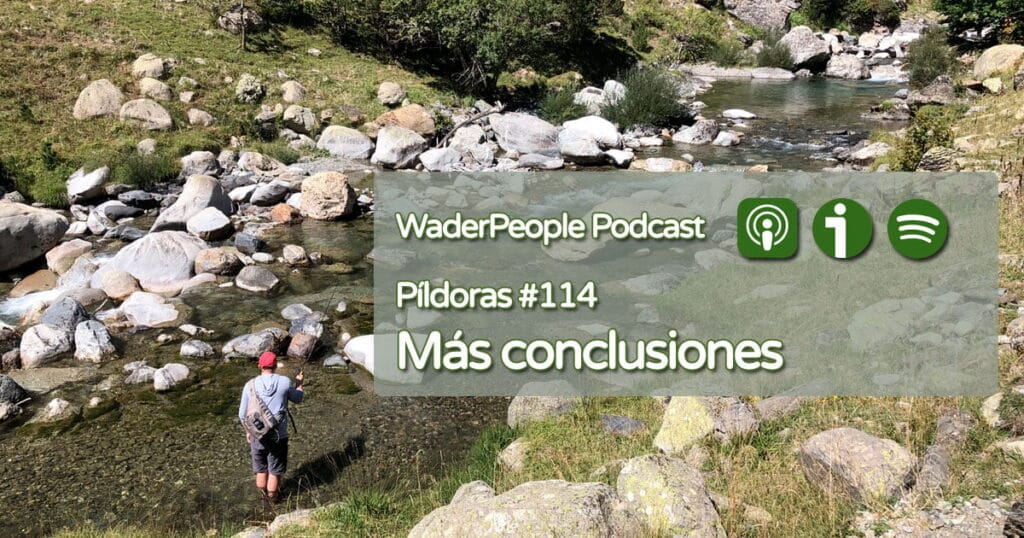 Pildoras #114 Más conclusiones