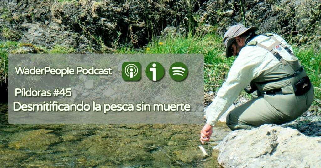 Píldoras #45 Desmitificando la pesca sin muerte