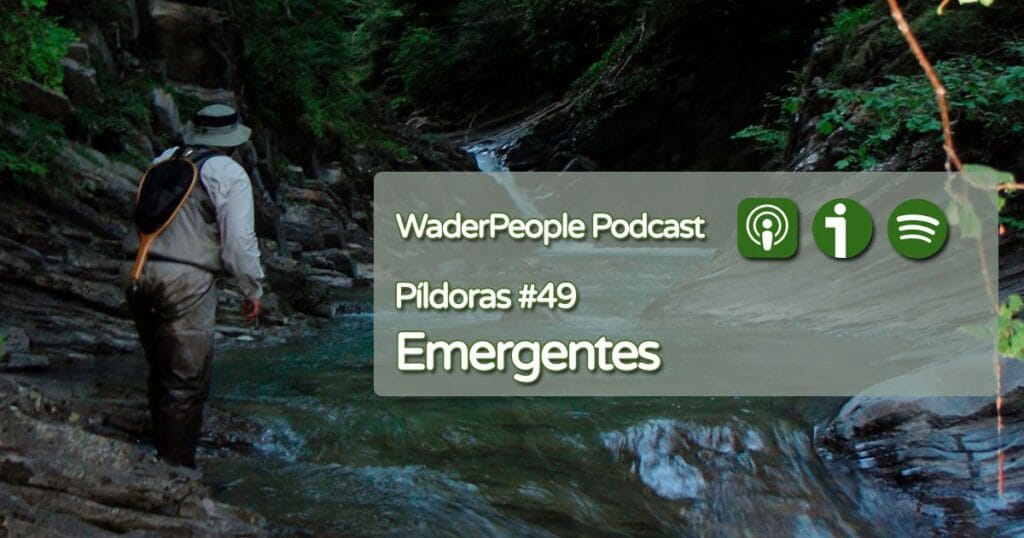 Píldoras #49 Emergentes