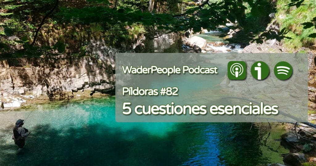 Pildoras #82 5 cuestiones esenciales