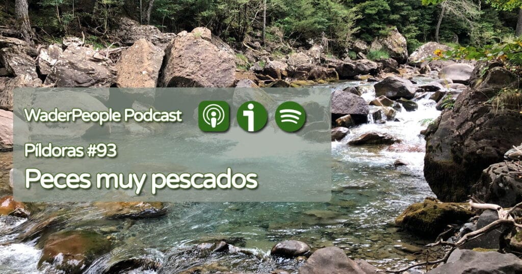 Pildoras #93 Peces muy pescados