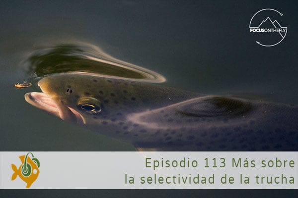 Episodio 113 Más sobre la selectividad de la trucha