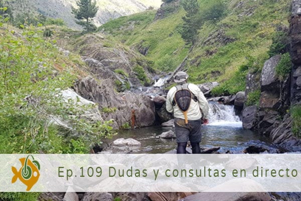 Episodio 109 Dudas y consultas en directo