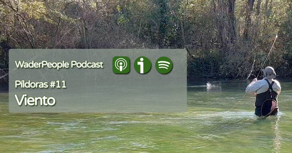 Píldoras #11 Viento