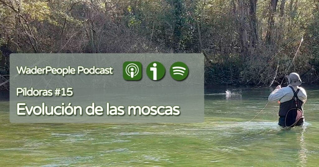 Píldoras #15 Evolución de las moscas