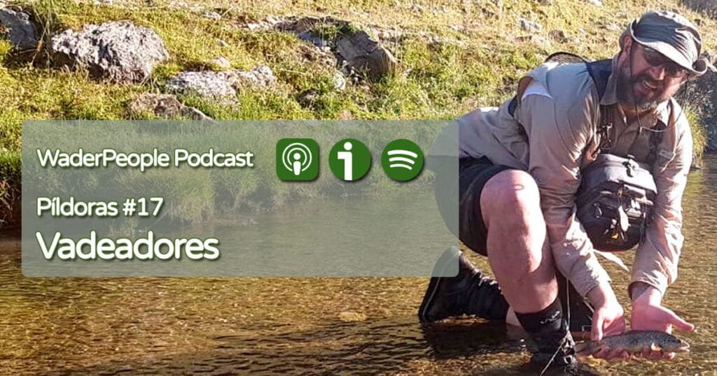 Píldoras #17 Vadeadores