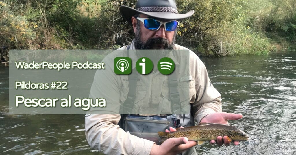 Píldoras #22 Pescar al agua