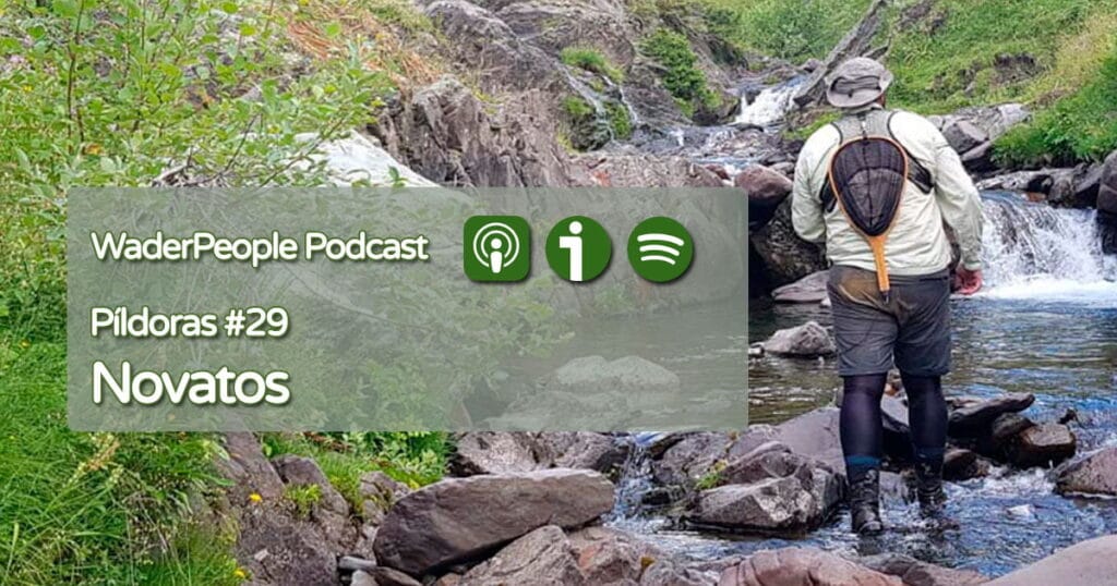 Píldoras #29 Novatos