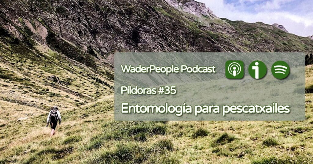 Píldoras #35 Entomología para pescatxailes