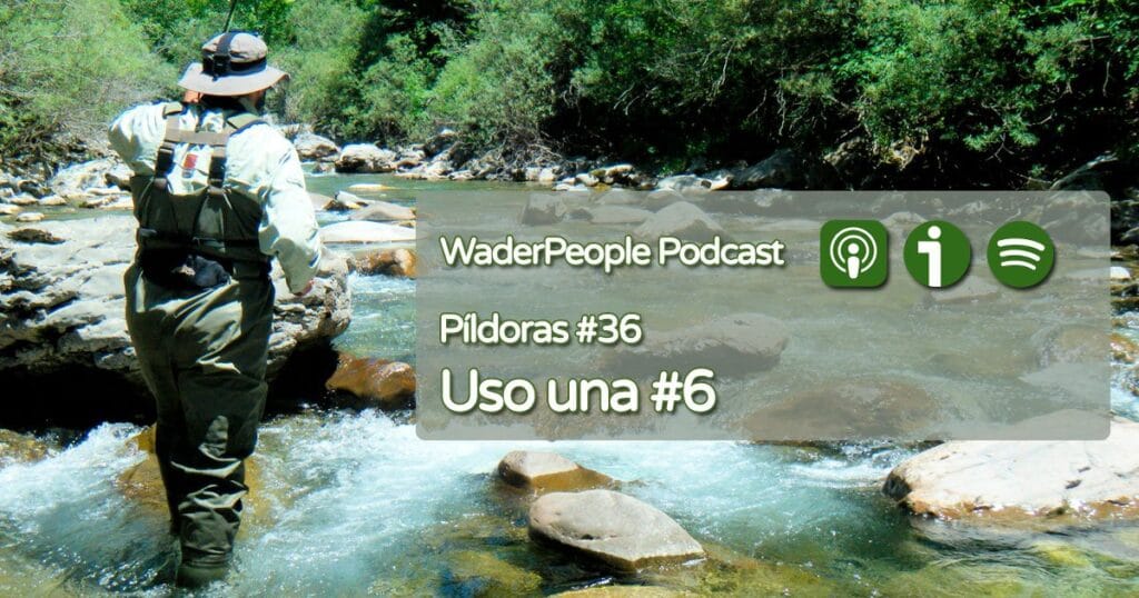 Píldoras #36 Uso una línea 6