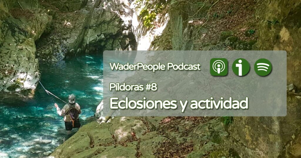 Píldoras #8 Eclosiones y actividad